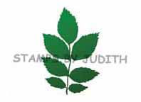 E-175 Solid 7 Leaves